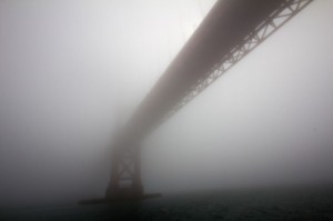Foggy Bay Area Tour