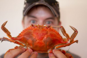 Getting Crabby