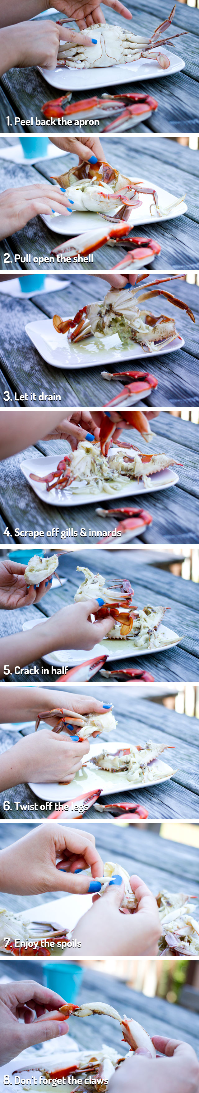 Tutorial: Shelling a Crab