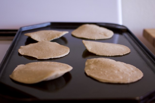 corn tortillas