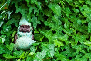 Random Acts of Gnome